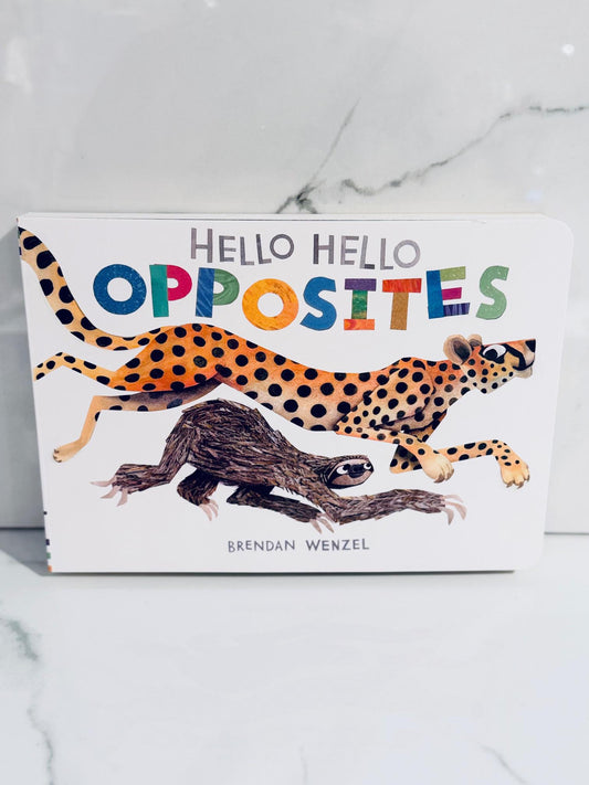 Hello Hello Opposites Book